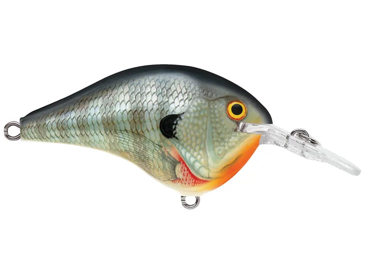 Rapala DT6