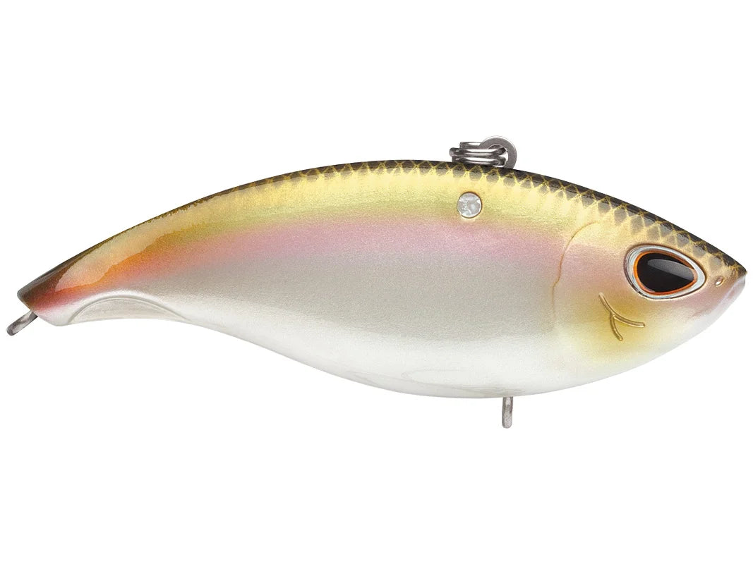 Storm Arashi Vibe Lipless Crankbait